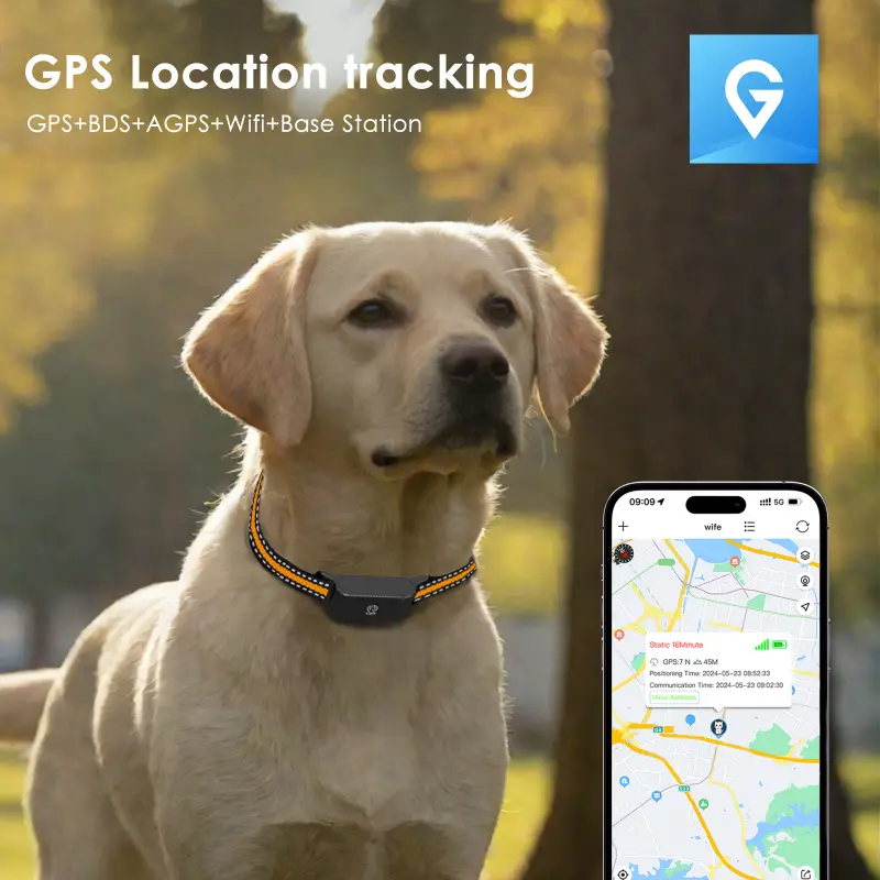 Multi-mode GPS pet collar with real-time location tracking on smartphone app for pet safety.