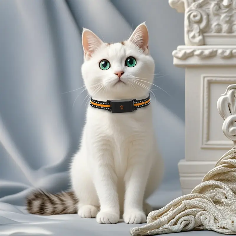 Sleek pet tracking collar worn by a white cat, comfortable and stylish for daily use.