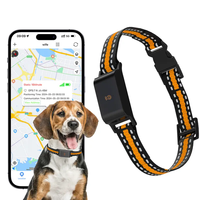 GPS pet tracking collar with real-time location monitoring on a smartphone app for pet safety.