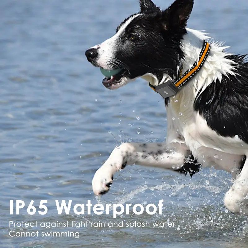 IP65 waterproof GPS dog collar, perfect for rainy days and splashes, not for swimming.