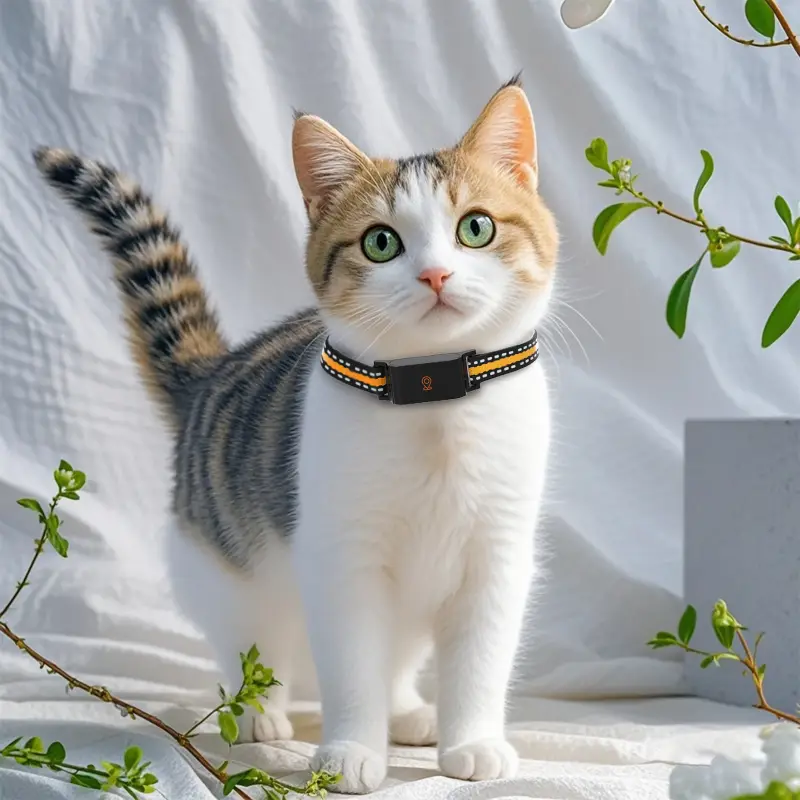 Lightweight pet tracking collar worn on a cat, designed for comfort and secure fit.