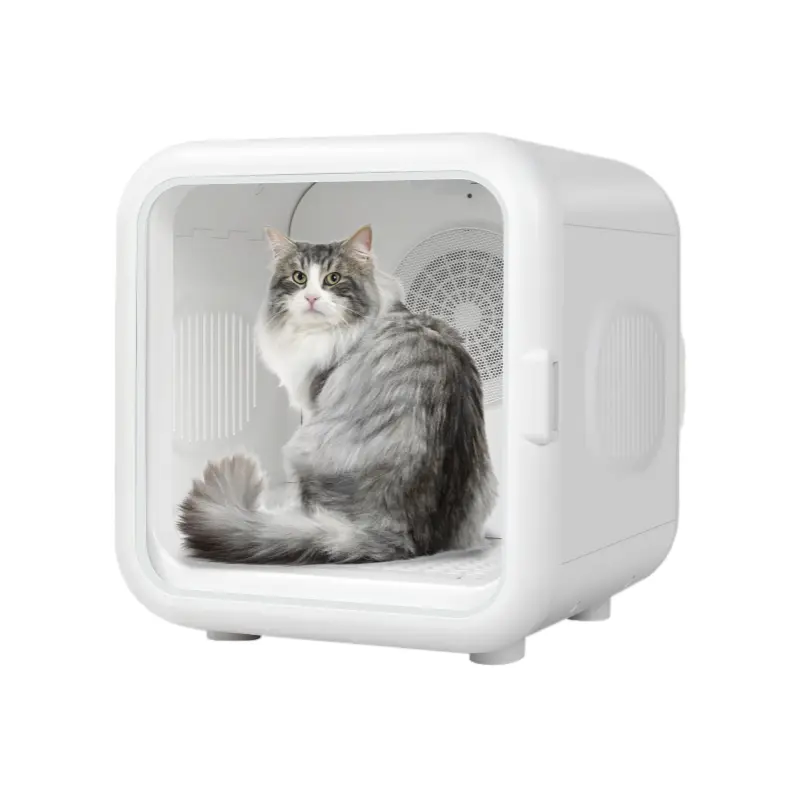 Long-haired Maine Coon inside white pet drying box with splash-proof cover.