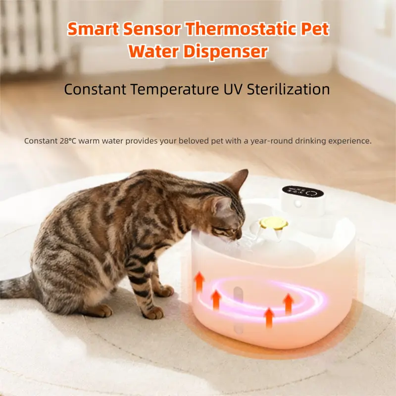 Smart sensor thermostatic pet water dispenser with UV sterilization, cat drinking 28°C warm water.