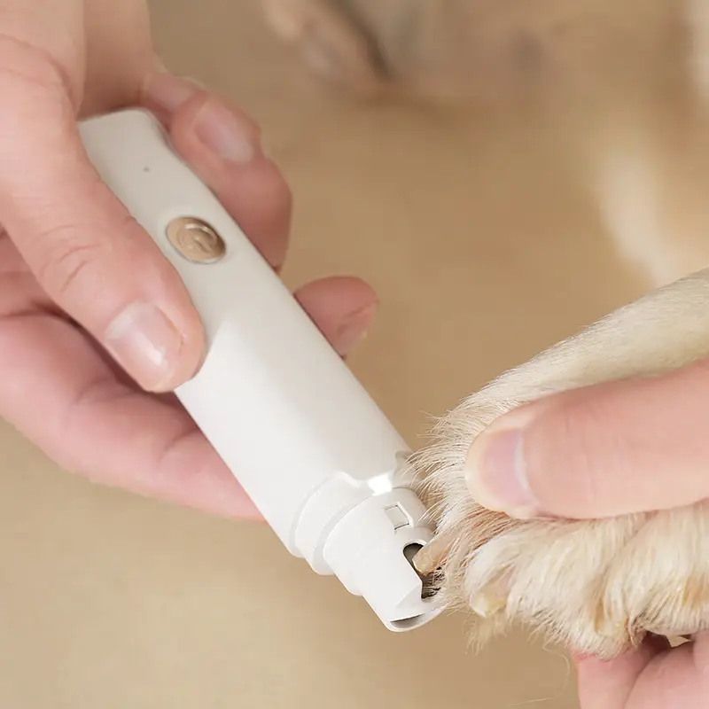 Electric pet nail grinder being used to trim a dog’s claw in a close-up view.