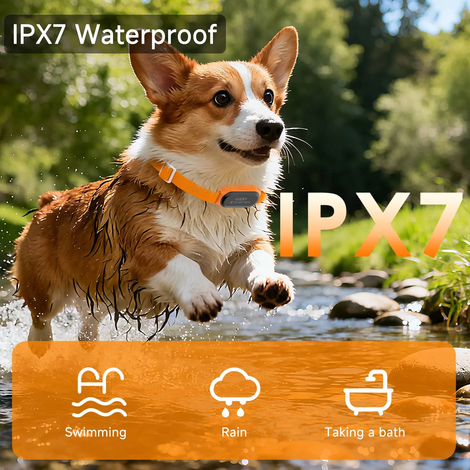 waterproof pet tracker collar for dogs in wet outdoor conditions