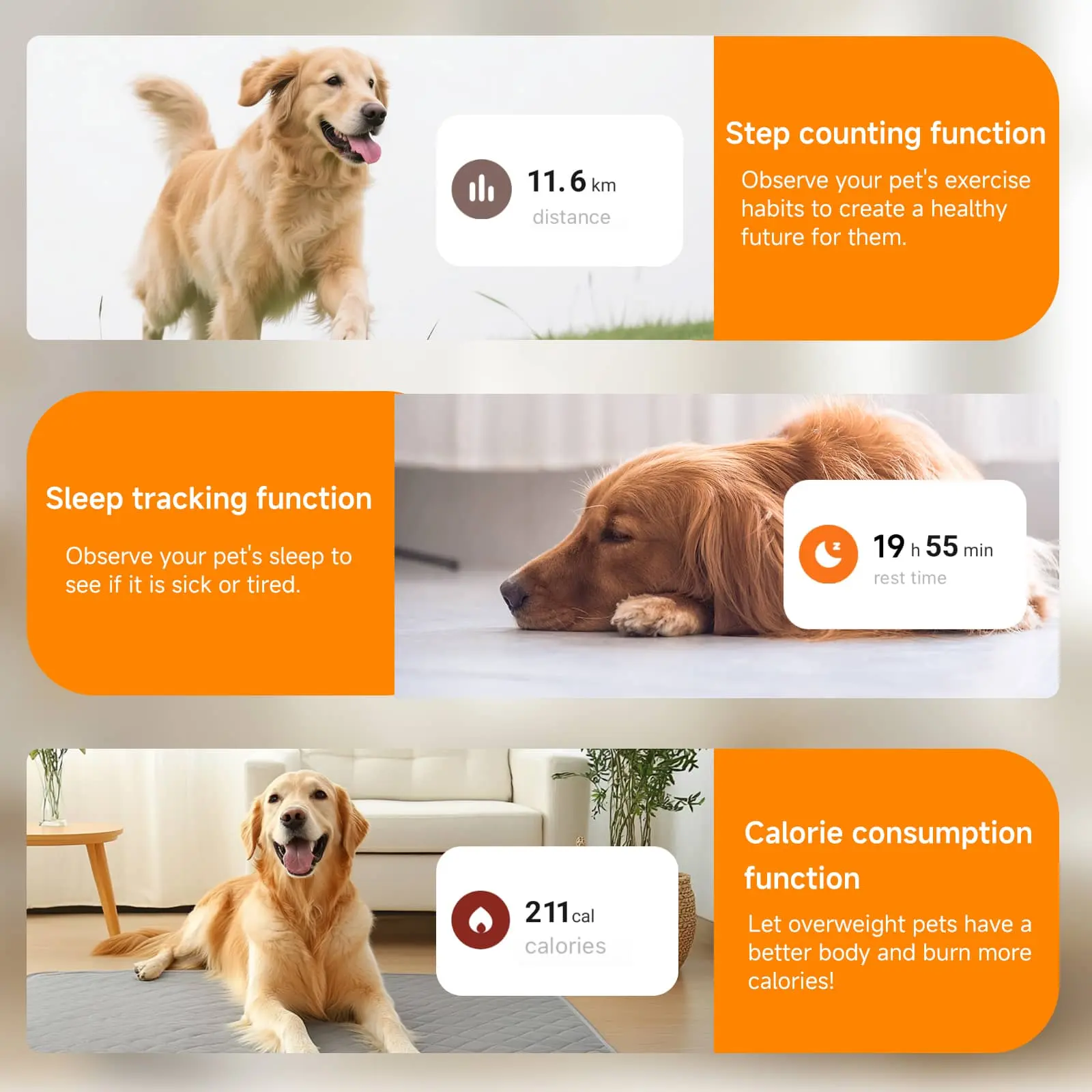 smart pet tracker collar with step counting, sleep tracking, and calorie monitoring functions