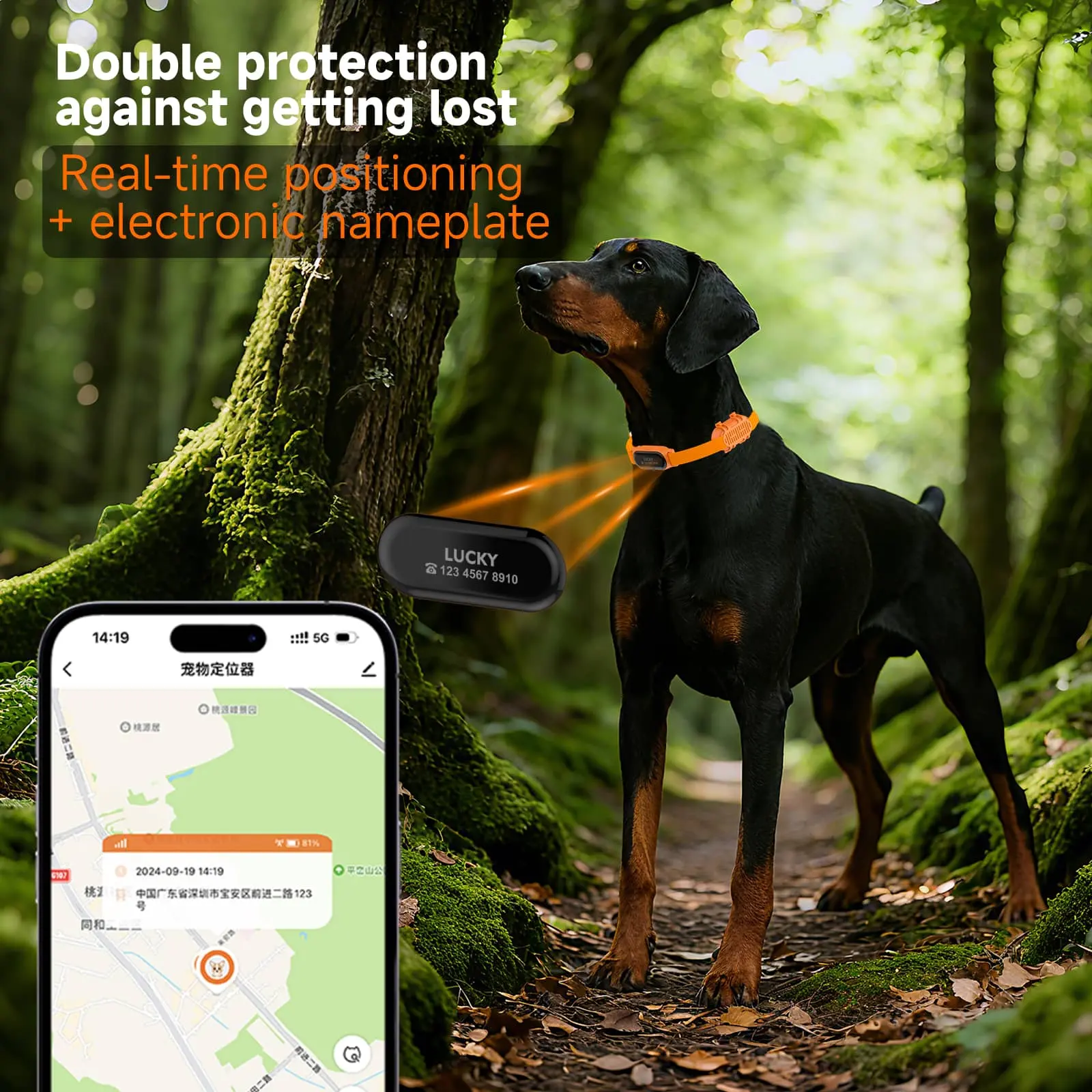 smart pet tracker collar with real-time positioning and electronic nameplate for anti-loss protection